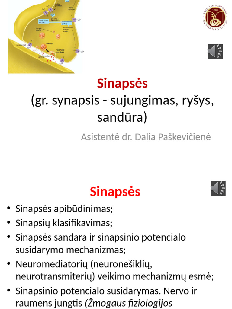 2 Sinapsės ANS | PDF