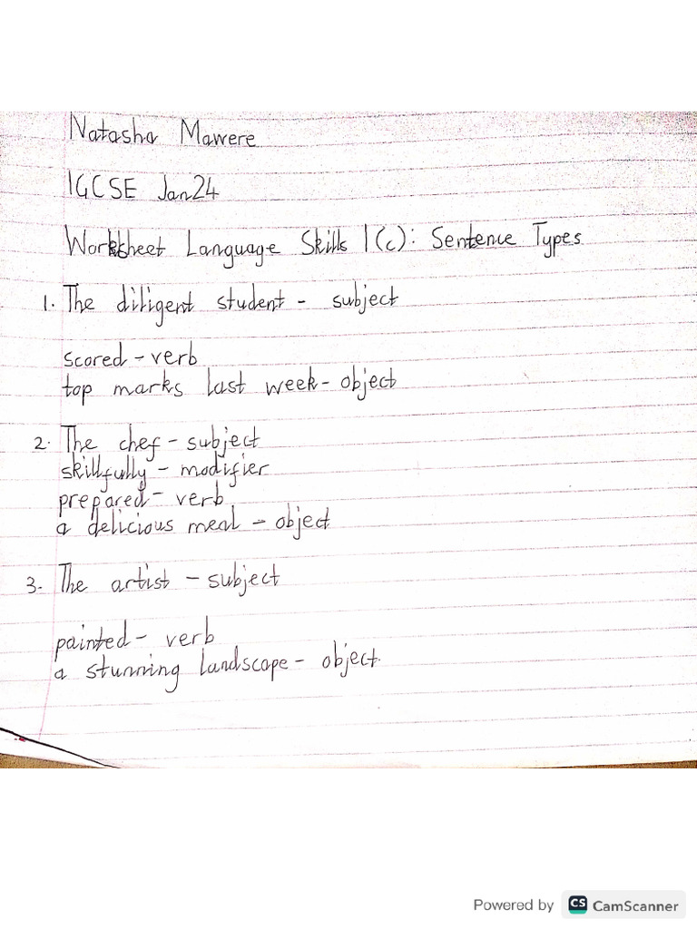 Worksheet Language Skills 1 (C) English | PDF