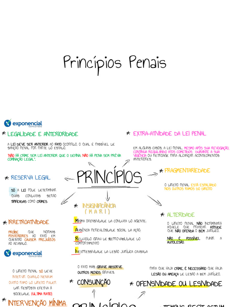 Princípios do Direito Penal Brasileiro | PDF | Crimes | Crime e Violência