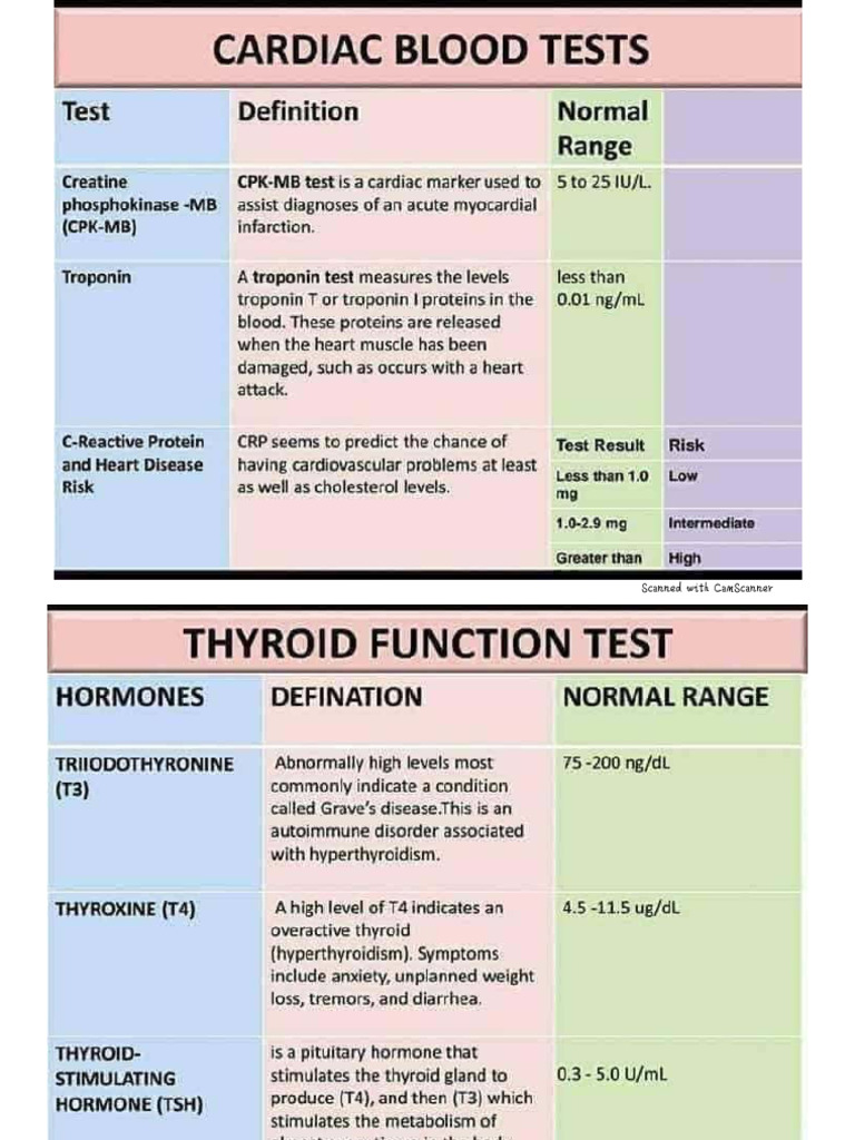 Test Values | PDF
