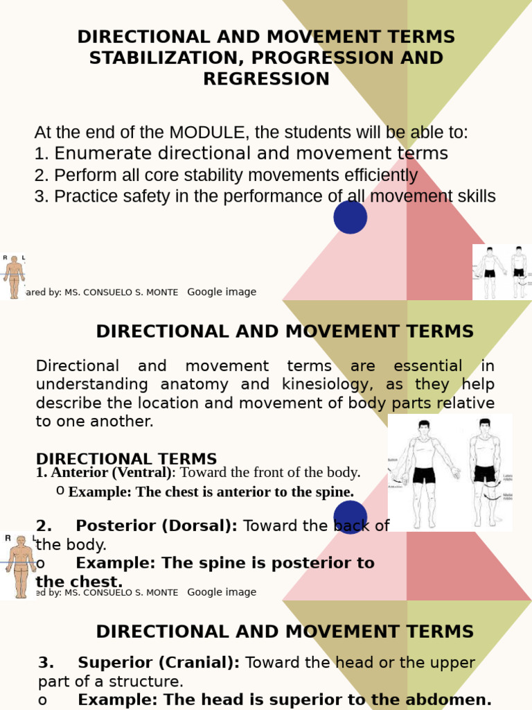 Directional and Movement Terms Guide | PDF | Anatomical Terms Of Motion ...
