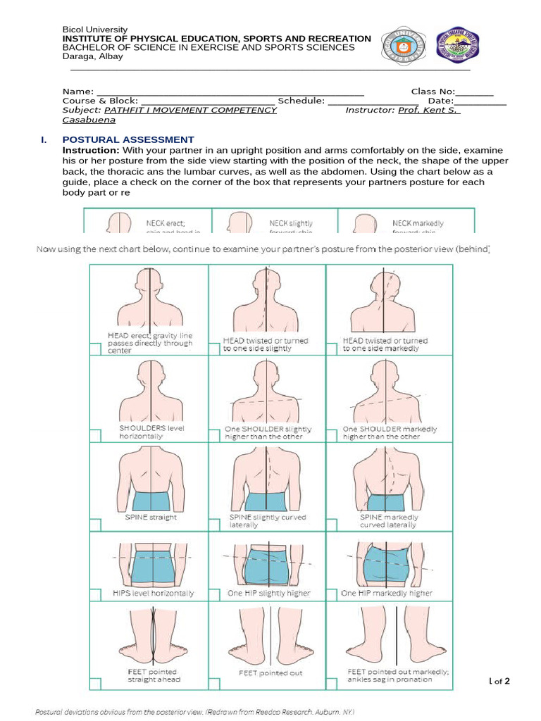Posture Test | PDF