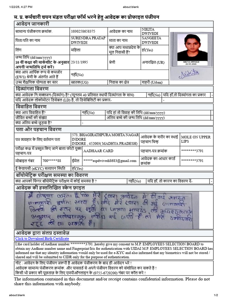 Nikita Profile | PDF