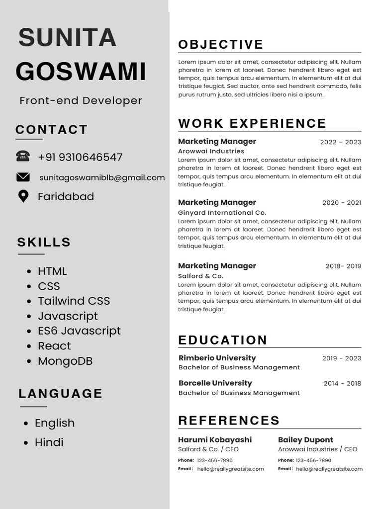 Minimalist Modern Professional CV Resume | PDF | Software Engineering ...