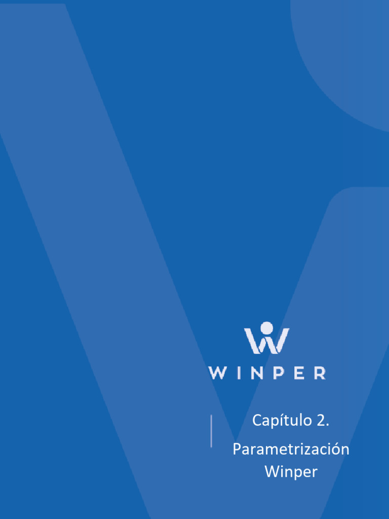 Parametrización del Sistema WinPer | PDF | Contabilidad | SQL