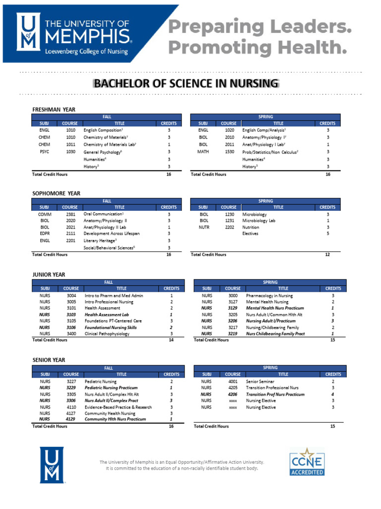BSN Program Curriculum Overview | PDF | Nursing | Health Care