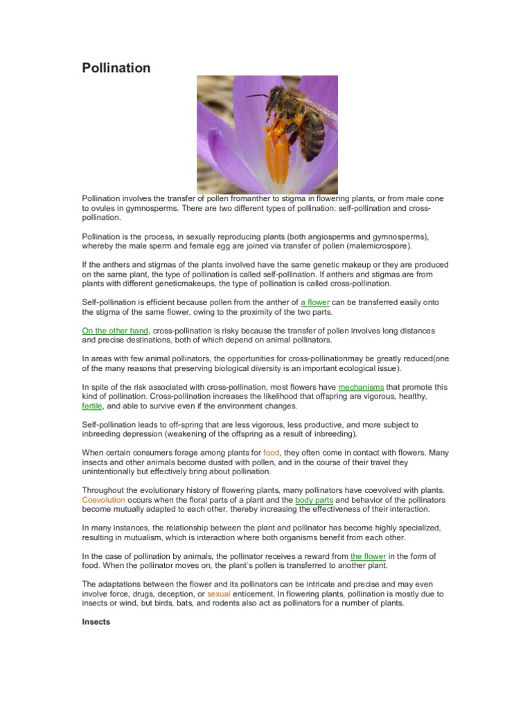 Pollination | Pollination | Pollinators