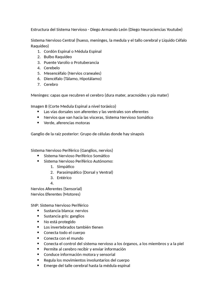 Estructura y Funciones del Sistema Nervioso | PDF | Sistema nervioso ...