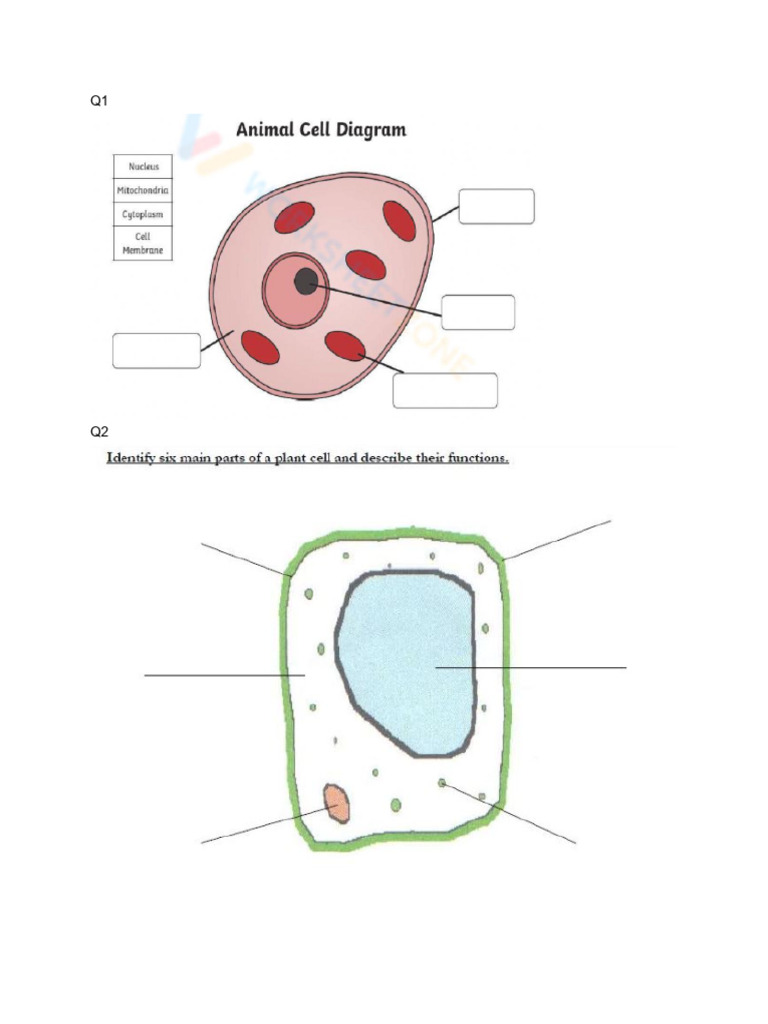Grade 6 Science Ws Pdf