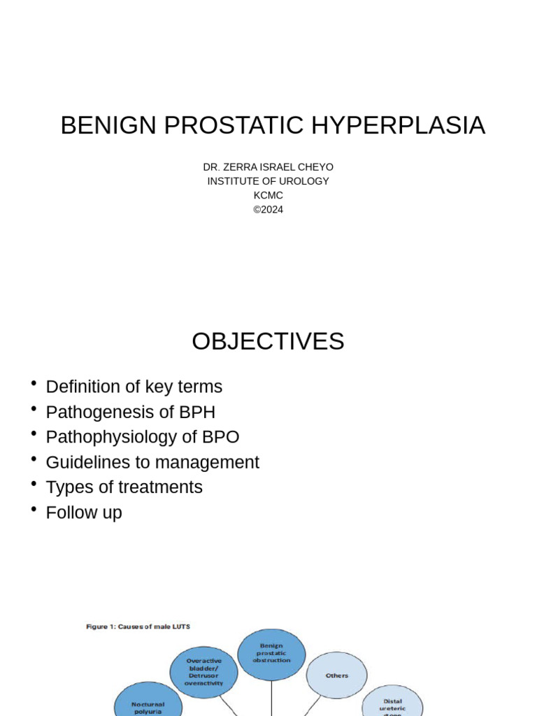BPH Zera | PDF