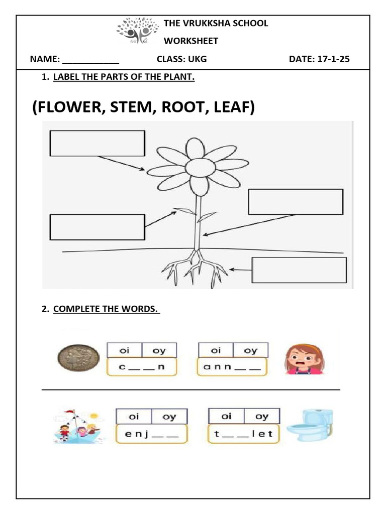 Ukg Worksheet 17-1-25 | PDF