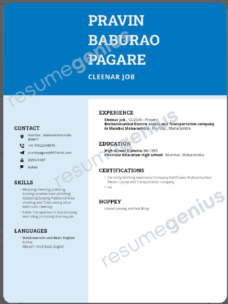 CV Resume PDF | PDF