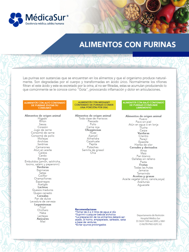 Guía de Alimentos y Purinas | PDF | Alimentos | Petróleo