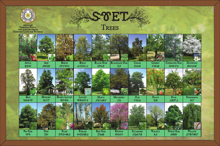 Trees 24x16 (Reduced) | PDF