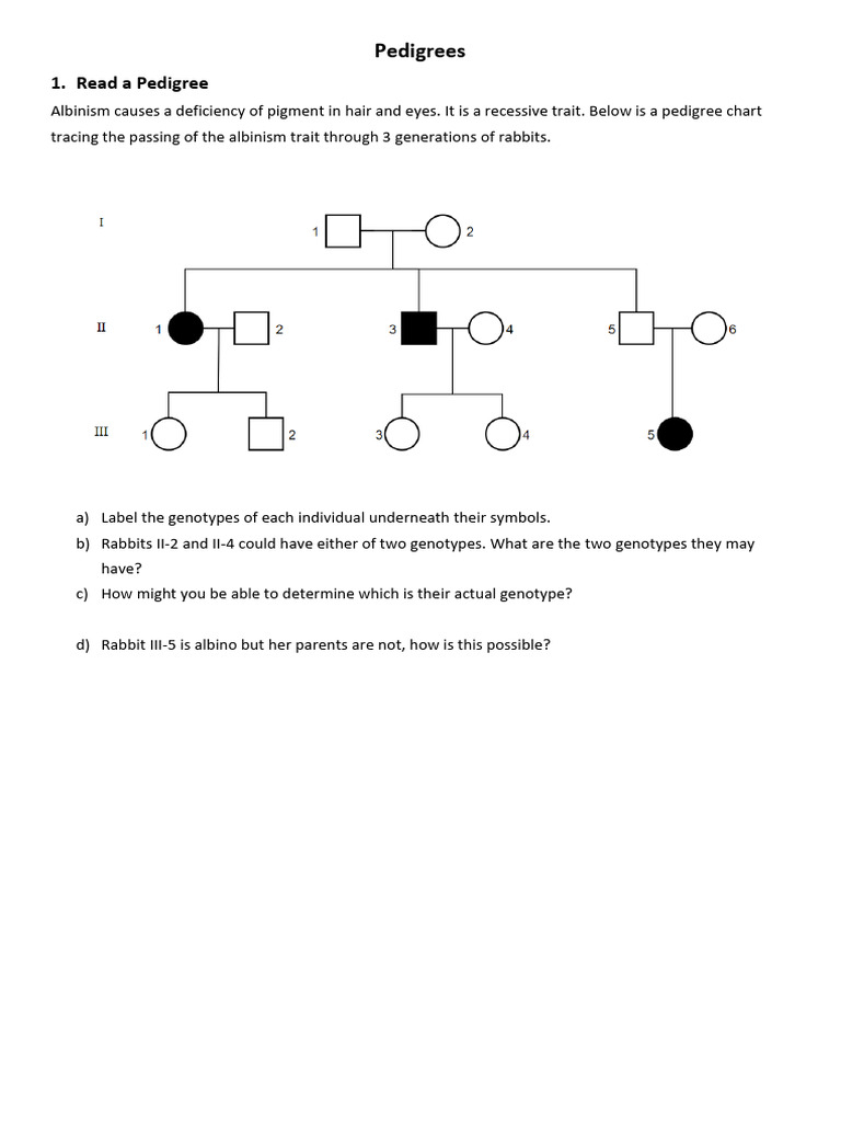 PedigreesWorksheet1 1 | PDF