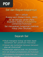 Download Sel by anggraeni SN8193204 doc pdf