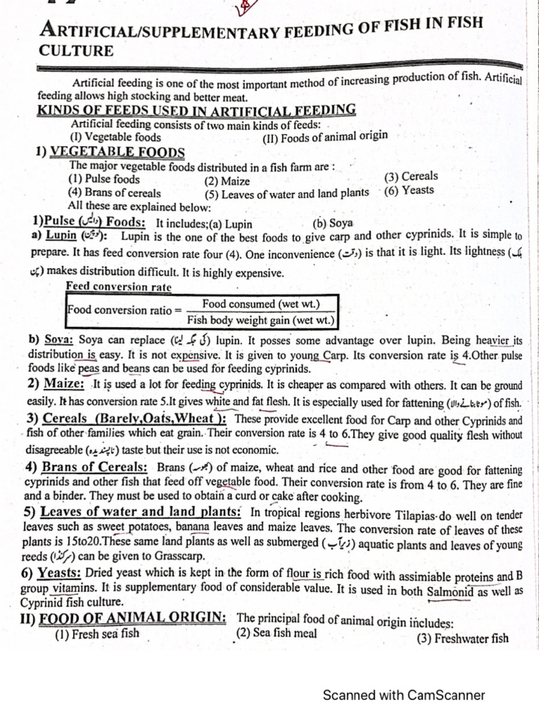 Supplementary Feeding of Fish in Fish Culture | PDF