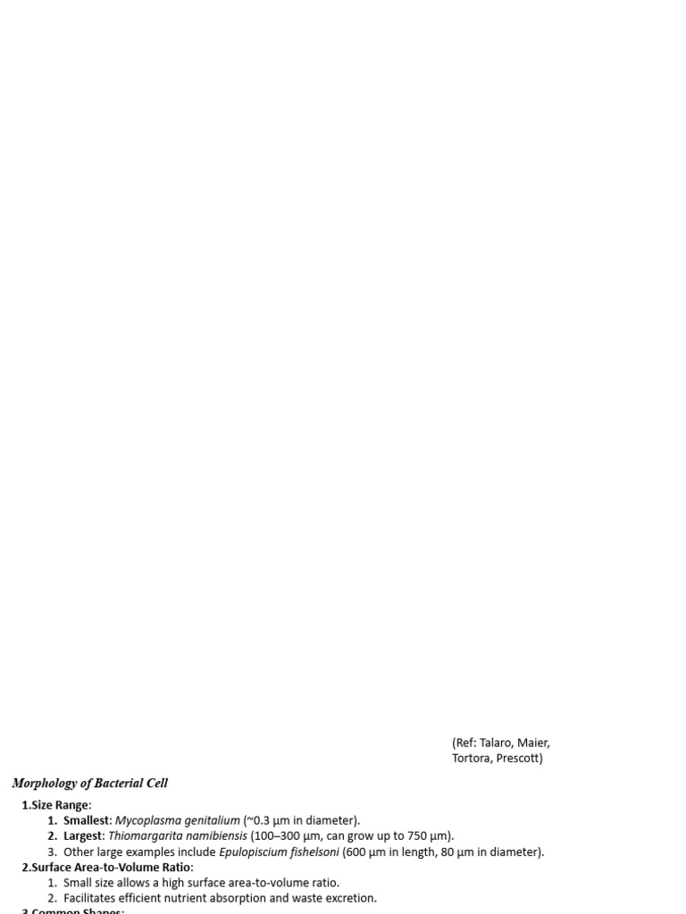 Lecture 2-Structure Prokaryotes | PDF | Cell Membrane | Plasmid