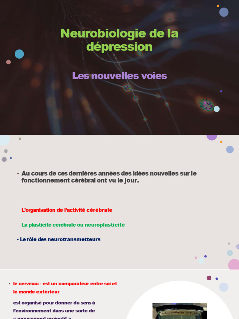 Neurobiologie et traitement de la dépression | PDF | Dépression ...