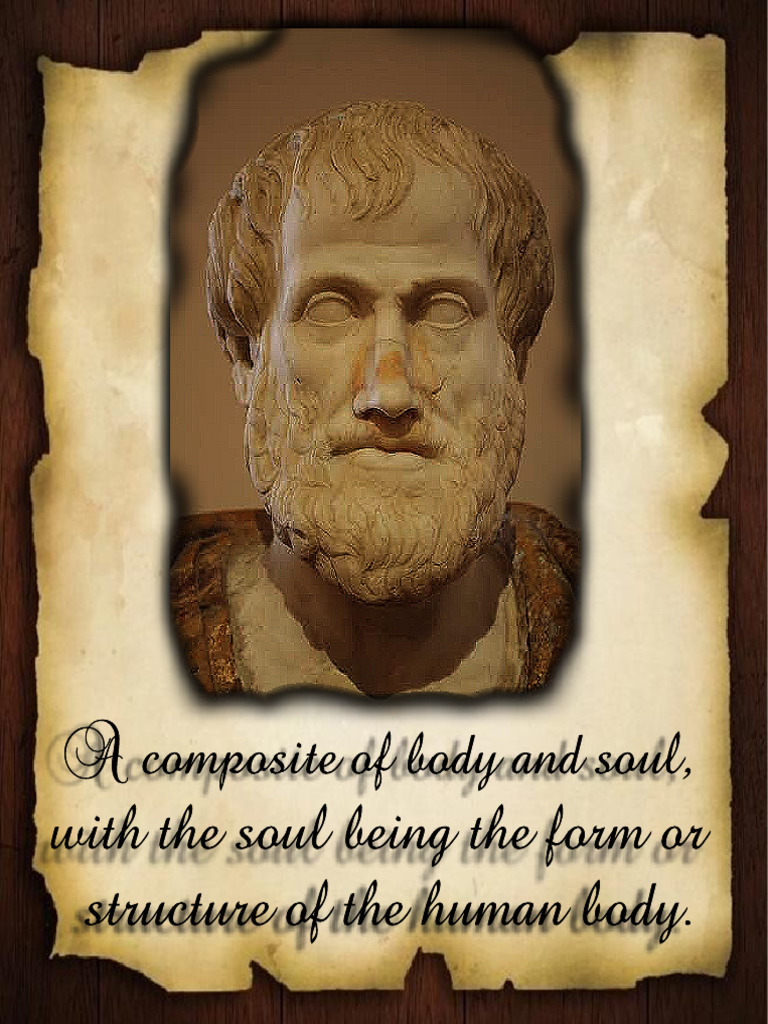 Body and Soul: Human Structure Explained | PDF