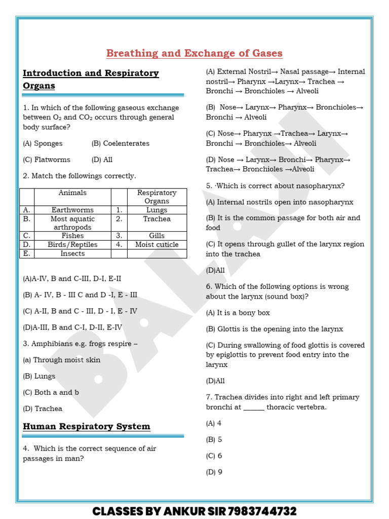 Human Respiratory System Overview | PDF | Exhalation | Lung