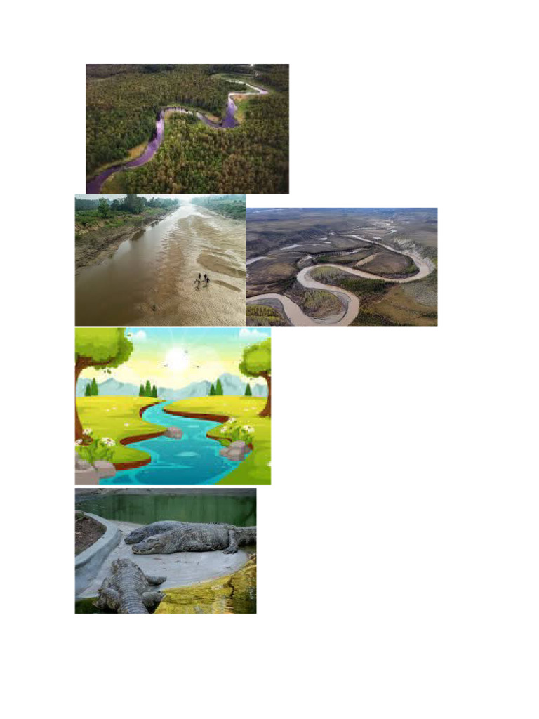 Lagos Imagenes Rios | PDF