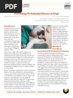 VOHC Accepted Dental Products for Dogs | PDF | Oral Hygiene | Dog Food