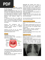 Protocolo BLUE em Ultrassom Pulmonar | PDF | Doenças e distúrbios ...