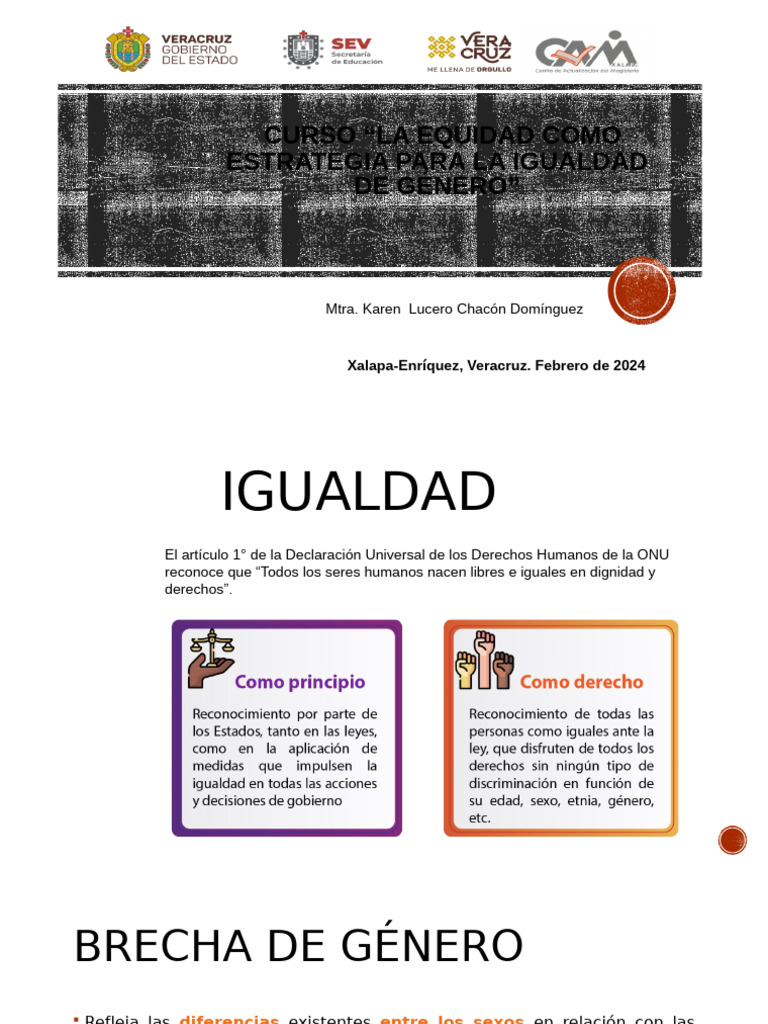 Equidad y Estrategias de Género | PDF | Igualdad de género | Estudios ...