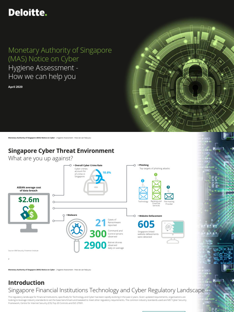 SG Risk Cyber Hygiene Assessment | PDF | Security | Computer Security