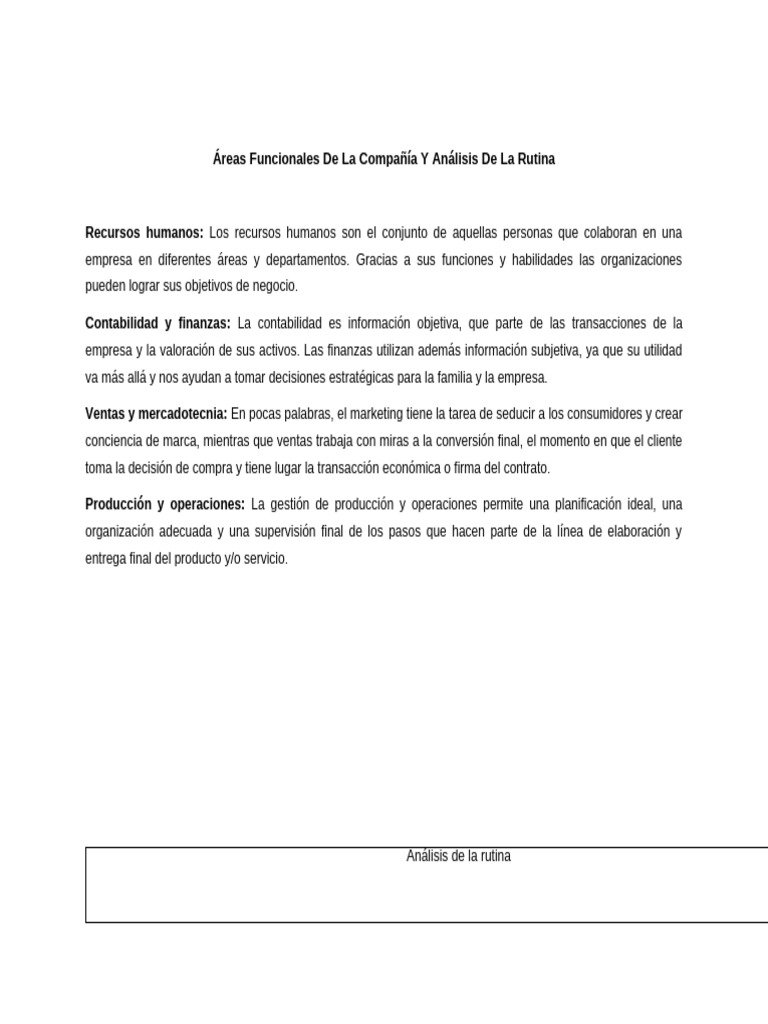 Análisis de Áreas Funcionales y Rutina | PDF | Marketing | Business