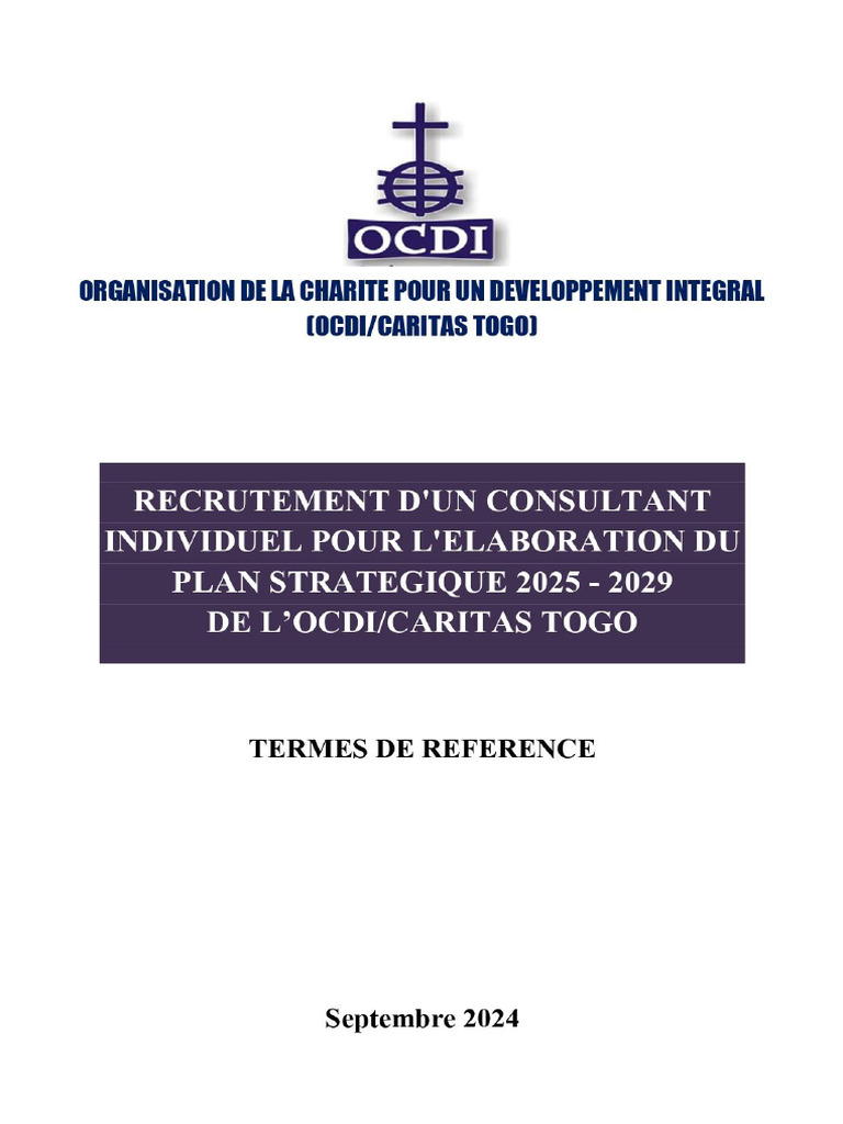 Élaboration du plan stratégique OCDI Togo | PDF | Consultant
