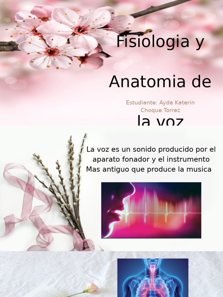 Fisiología y Anatomía de la Voz | PDF