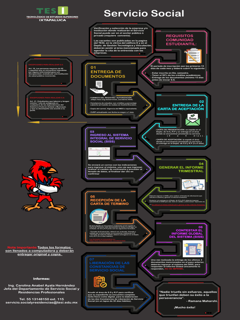 Infografia Servicio Social | PDF