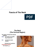 6 Fasciae of the Neck E-learning