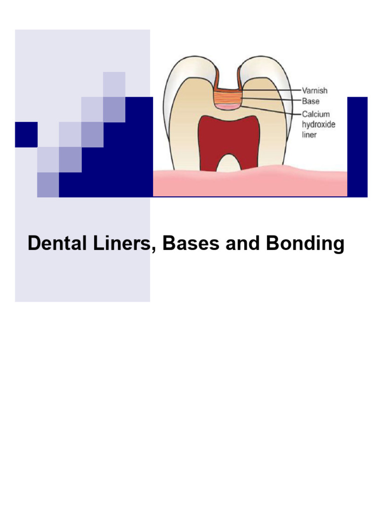 Dental Bases and Liners Overview | PDF | Tooth Enamel | Human Tooth