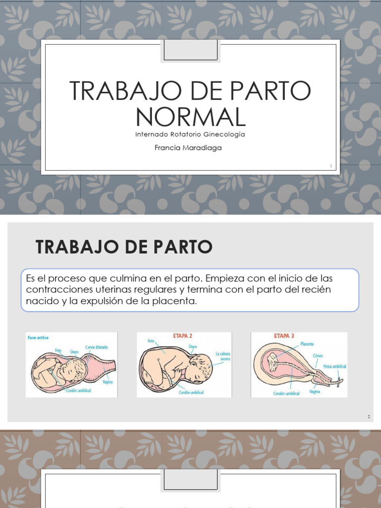 7 Trabajo de Parto Normal INTERNADO FRANCIA | PDF | Parto ...