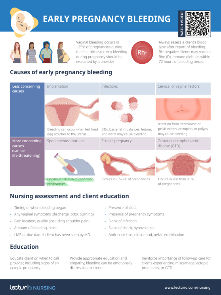 Early Pregnancy Bleeding Causes & Care | PDF | Pregnancy | Miscarriage