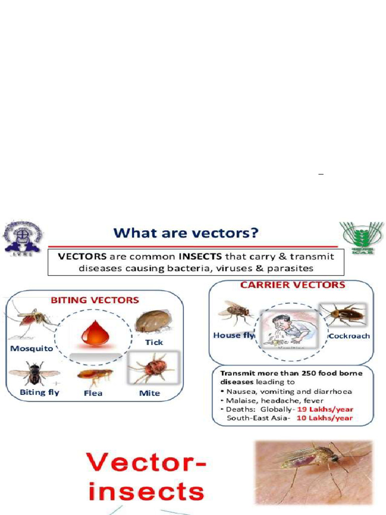 VECTOR BORN DISEASE | PDF