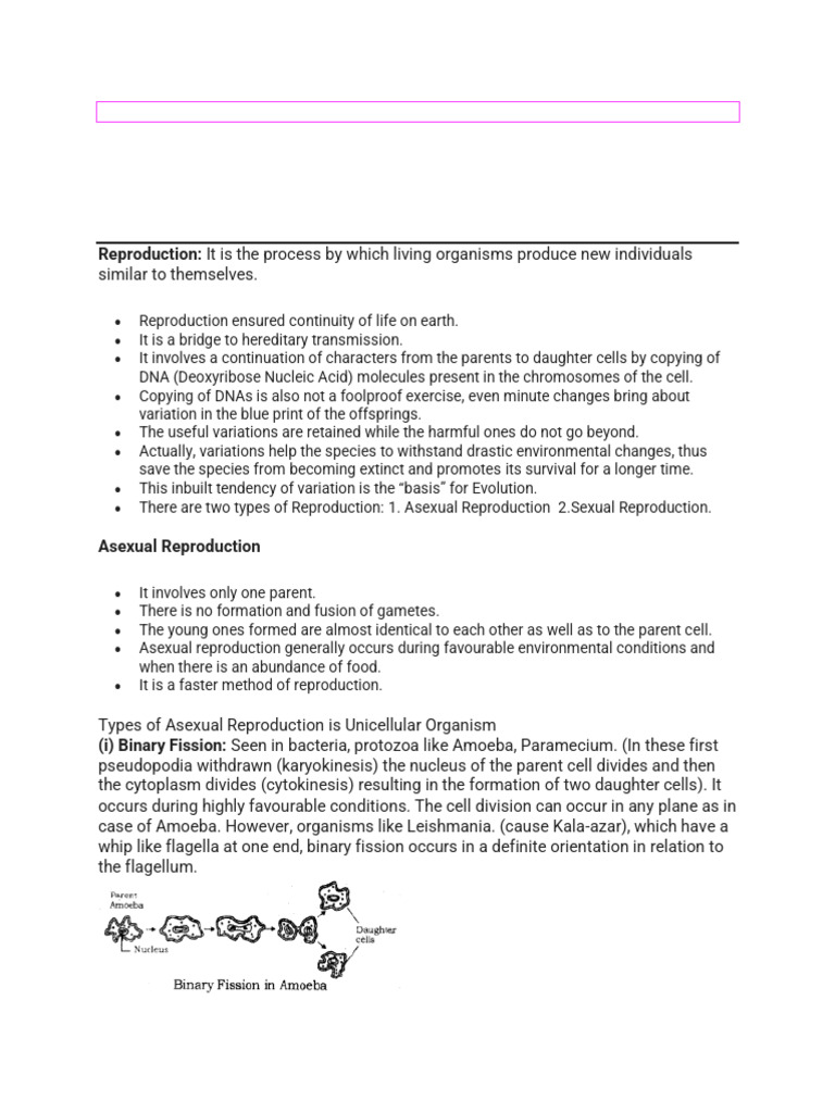 Organism Reproduction: Asexual & Sexual Methods | PDF | Flowers | Uterus
