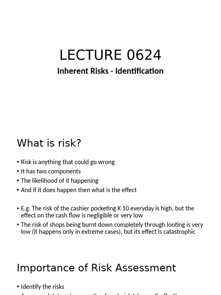 Inherent Risks 0624 | PDF | Risk | Audit