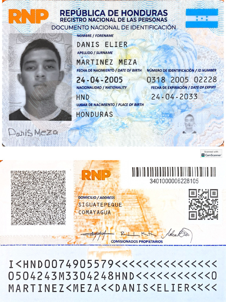 Id Danis | PDF