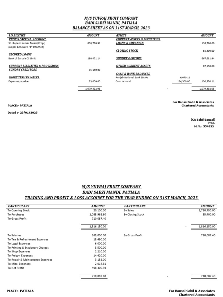 Balance Sheet 31.03.2023 | PDF | Expense | Balance Sheet