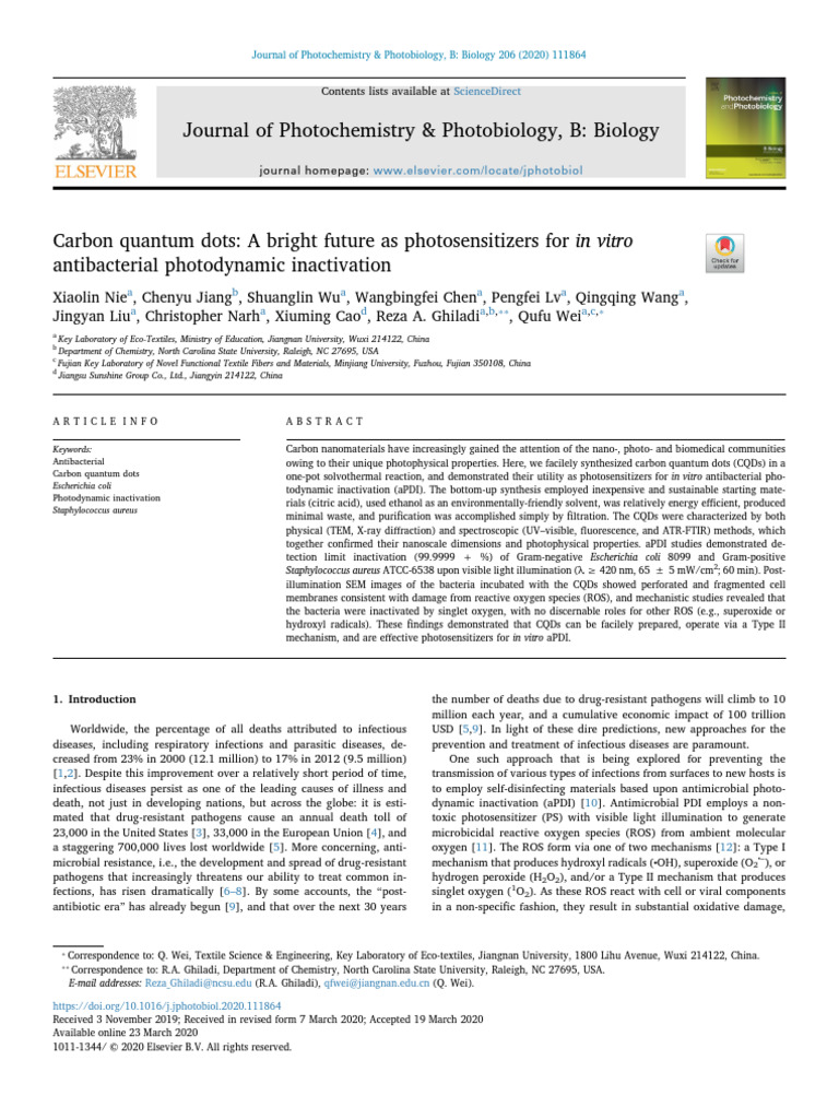 Carbon Quantum Dots A Bright Future As Photosensitizers For in Vitro ...