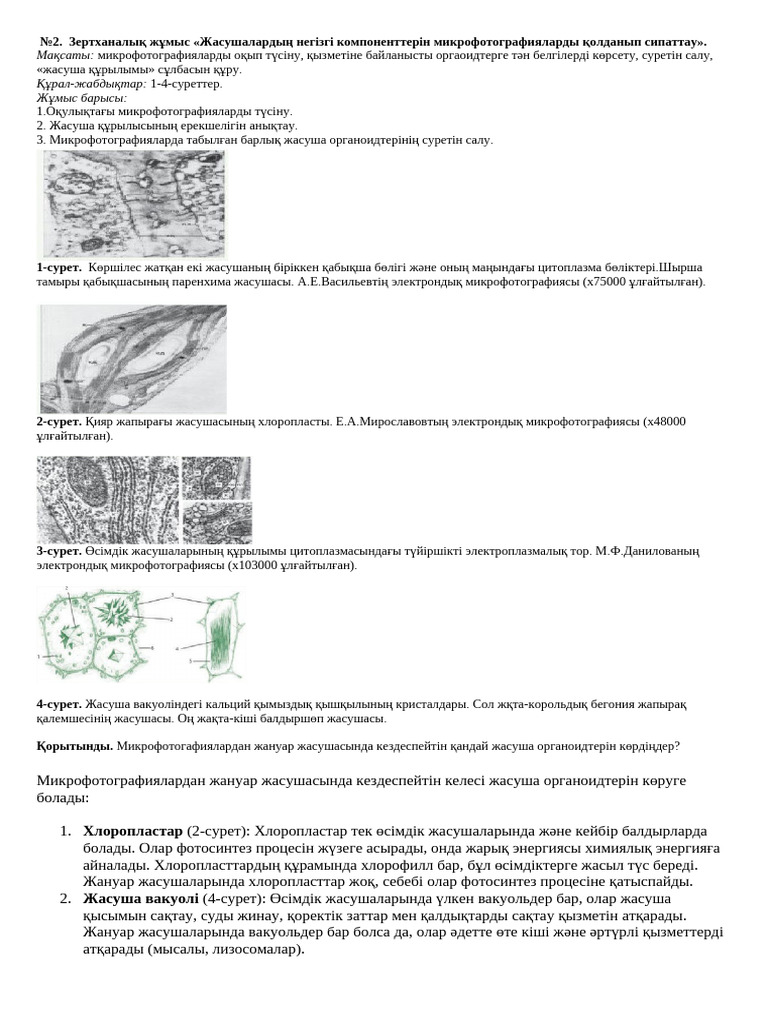 Жалаңаш қисық ханымдар