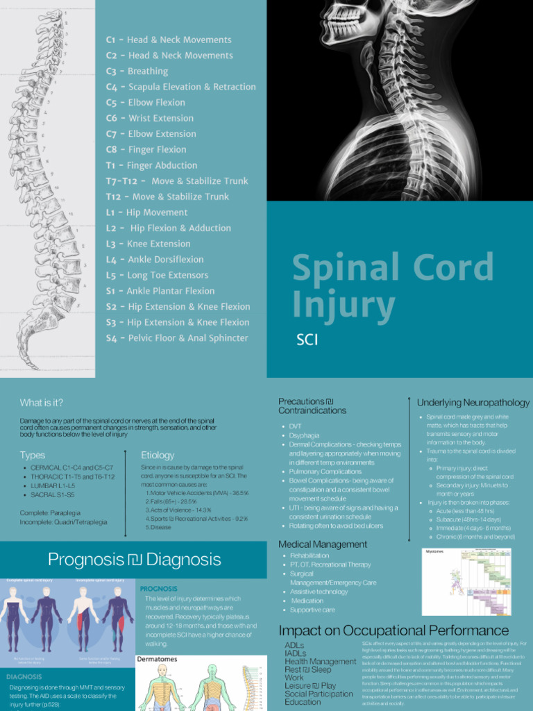 SCI | PDF
