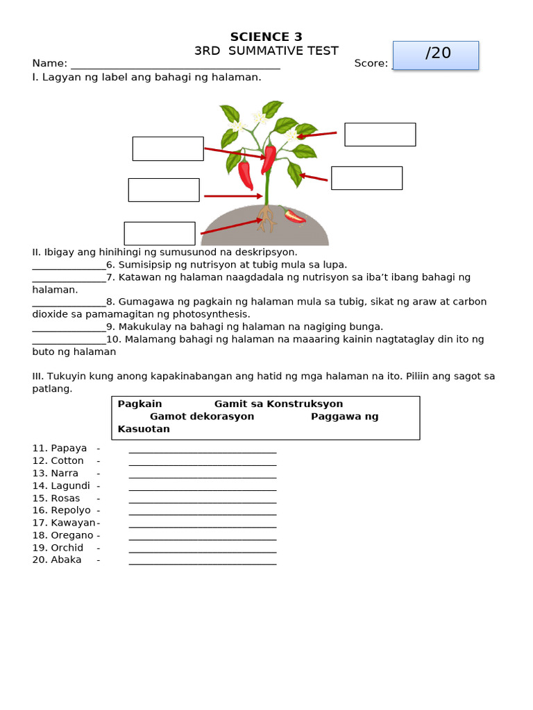 3RD Summative Test | PDF