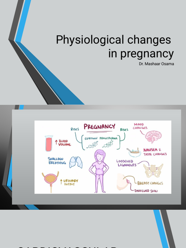 Physiological Changes During Pregnancy | PDF | Kidney | Respiratory System
