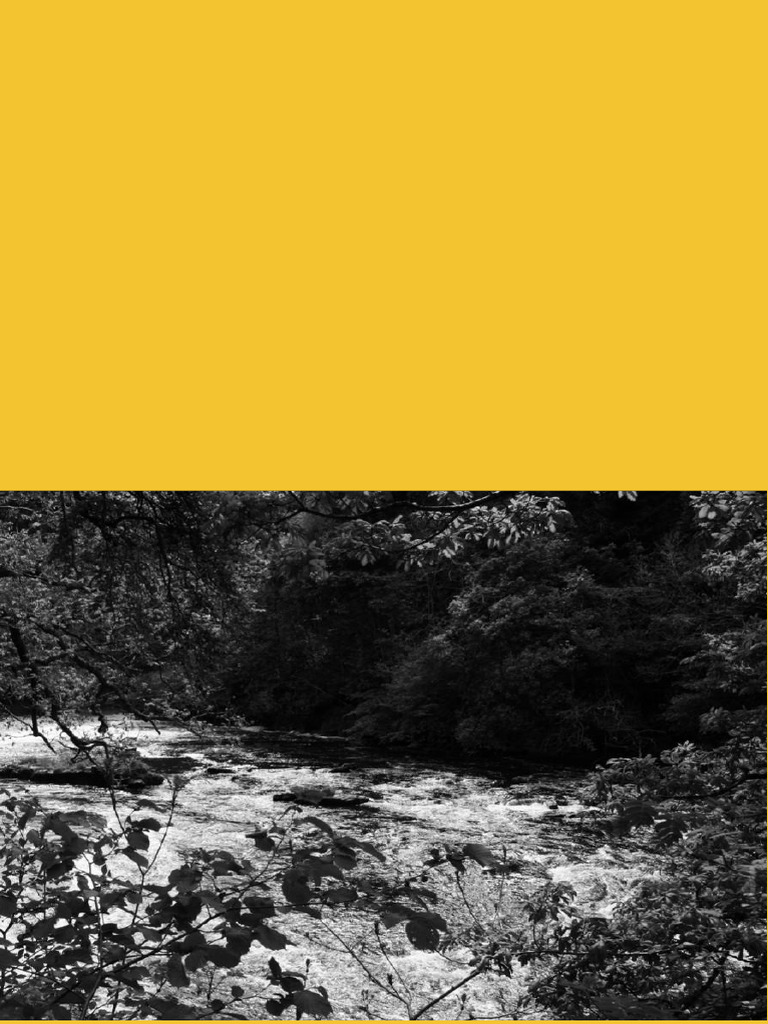 Tarzan: The Greystoke Journey Begins | PDF