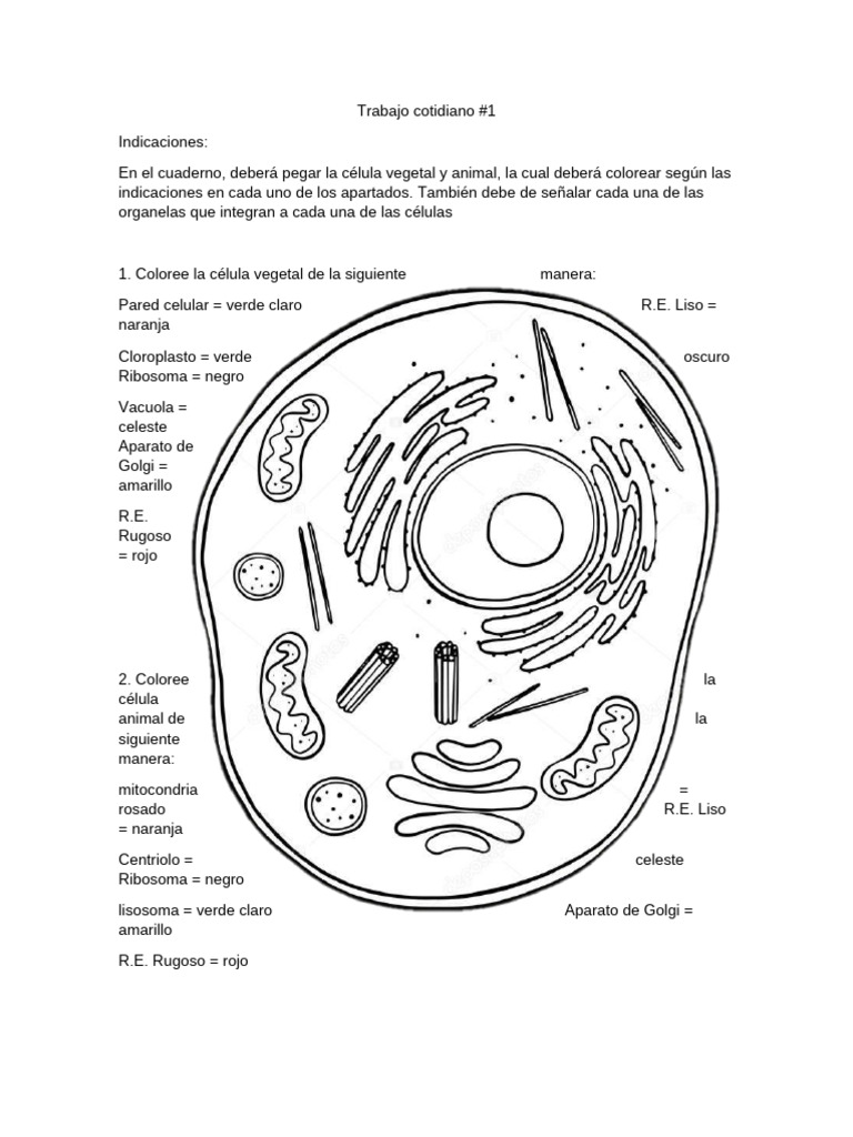 Organelas pdf